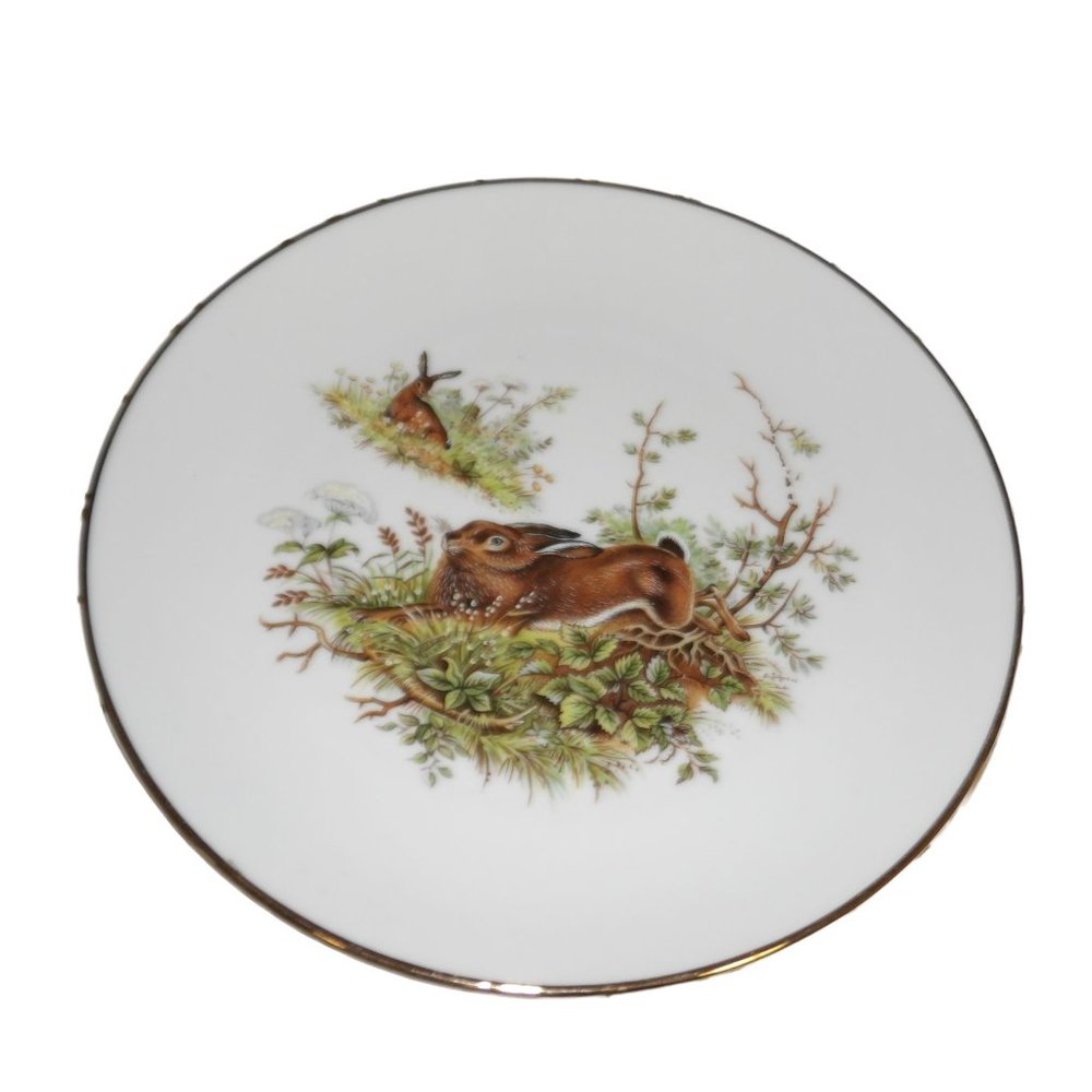 Vintage Kuba Porzellan Bavaria Germany Plate Hand Painted Wild Rabbits 8" Round